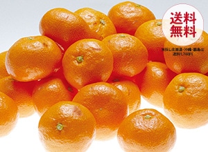 みかん農家さんの 家庭用みかん（送料無料）
