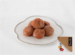 梅の色彩　紀宝梅