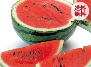 和歌山小玉すいか（約3kg）２玉