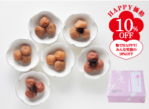 梅の色彩 定番梅干600g 