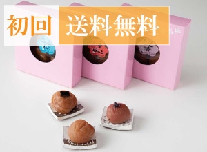 初回送料無料  プチギフト 3種セット