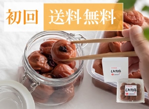 初回限定!! 紀州南高梅 4個セット