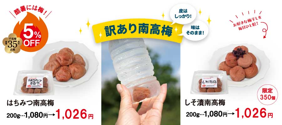 訳あり はちみつ梅 しそ漬梅　各200ｇ
