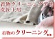 硼 ȡ ޥե顼  ߴ (ۡ졼