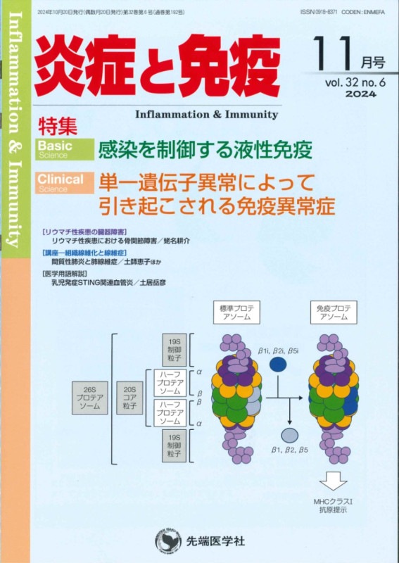 ɤȱ֡2024ǯ11 (Vol.32 No.6)
