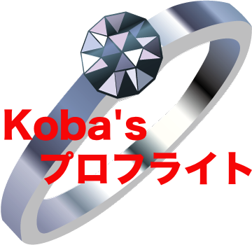 Koba's プロフライト ※