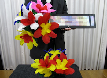 フラワートライアングルDX ※