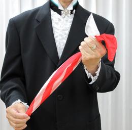 GM紅白ミックスシルク ※