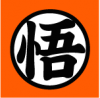 悟◯パドル ※