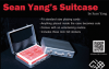 Sean Yang's Suitcase ※
