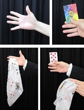 パーフェクトカード byプロフェッサーサコー ※