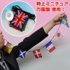 DP 特上口から万国旗セット