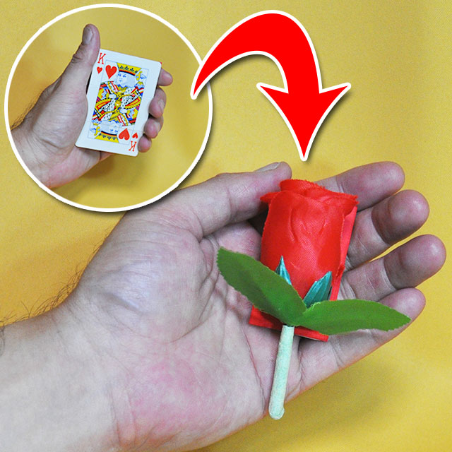 DP ロッキング カードトゥローズ