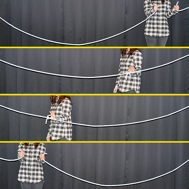 DP ウォーキングノット