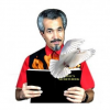 Dove FIre Book ※|全商品一覧