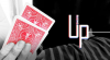 UP by DK ※