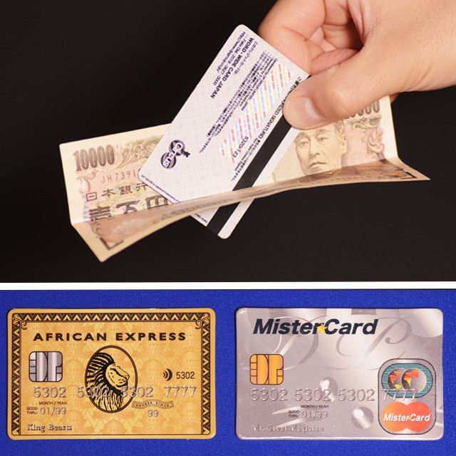 DP 切れないクレジットカードセット