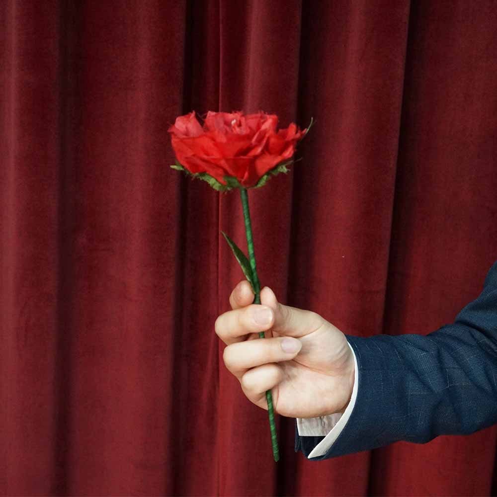 Color change rose ※