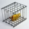 消える鳥篭