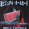 超ビジュアルホールカード ※