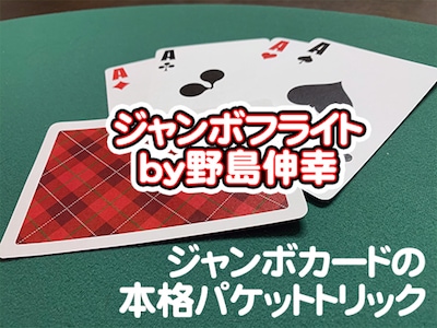ジャンボフライト by野島伸幸