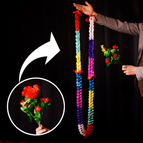 DP レイになる花束