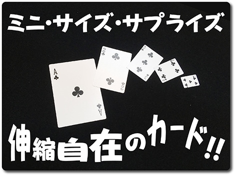ミニ サイズサプライズ