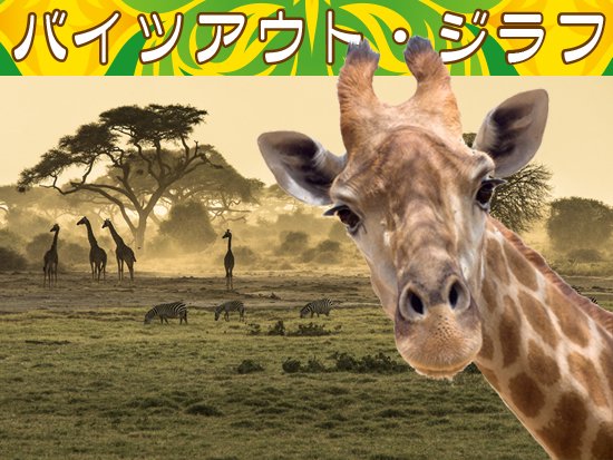 バイツアウト ジラフ by野島伸幸