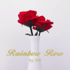 Rainbow Rose　レインボーローズ