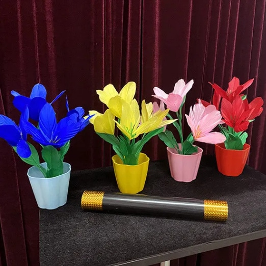 Appearing Flowers in Four Vases