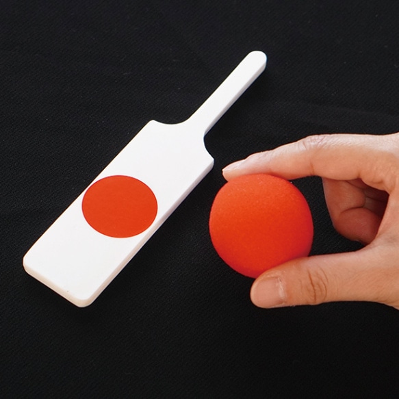 DP パドルとボール