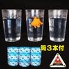 DP 金魚はどこだ？