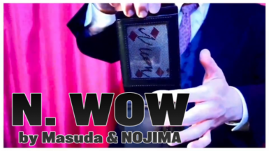 〈予約〉N. WOW（エヌワウ） by Masuda ＆ Nojima 