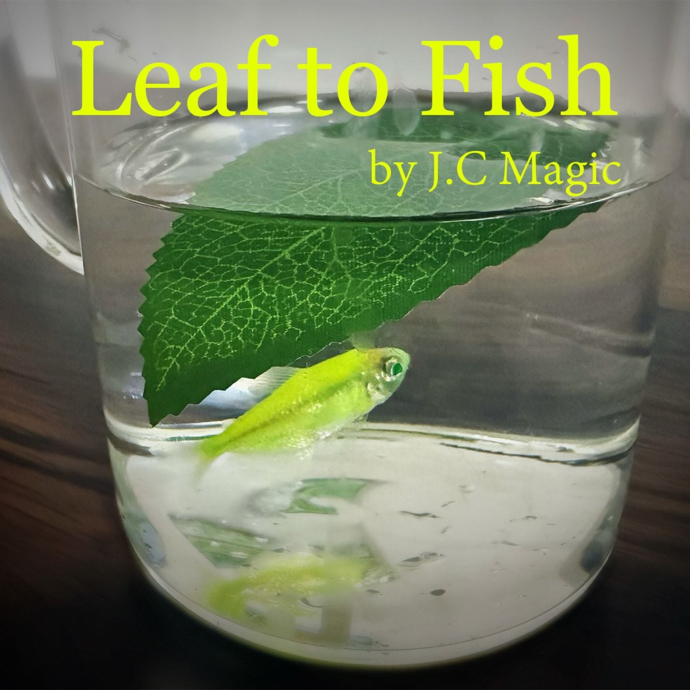 Leaf to Fish