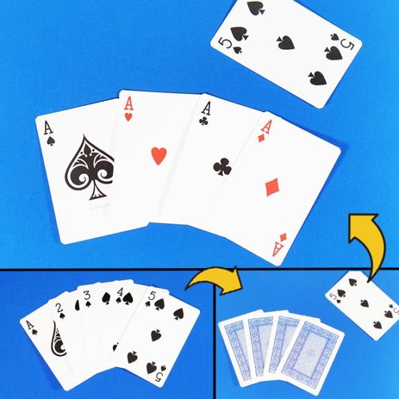 DP ジャンボ忍者カード ｜全商品一覧や手品グッズ揃うマジックショップ