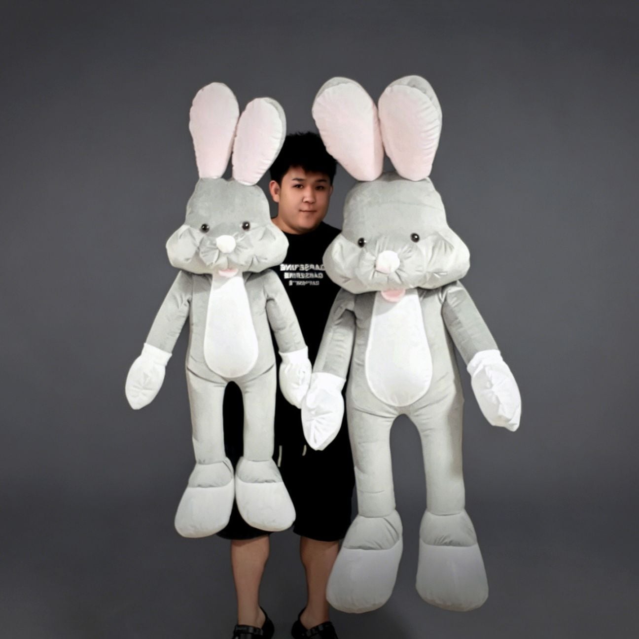 Appearing Rabbit V2 