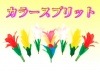カラースプリットフラワー ※|全商品一覧