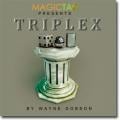 Triplex by Wayne Dobson ※|全商品一覧