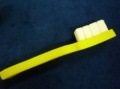 ハブラシスポンジ|全商品一覧