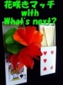 花咲きマッチ　with What's next?|全商品一覧