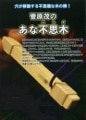 菅原茂のあな不思木 ※|全商品一覧