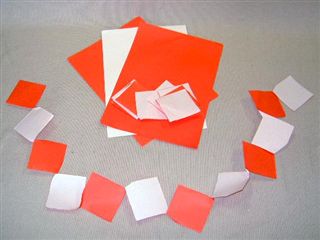 紅白　連理の紙　