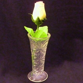 幻想の花瓶
