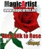 Auto Silk to Rose|全商品一覧