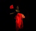 幻想のバラ（DVD付き）|全商品一覧