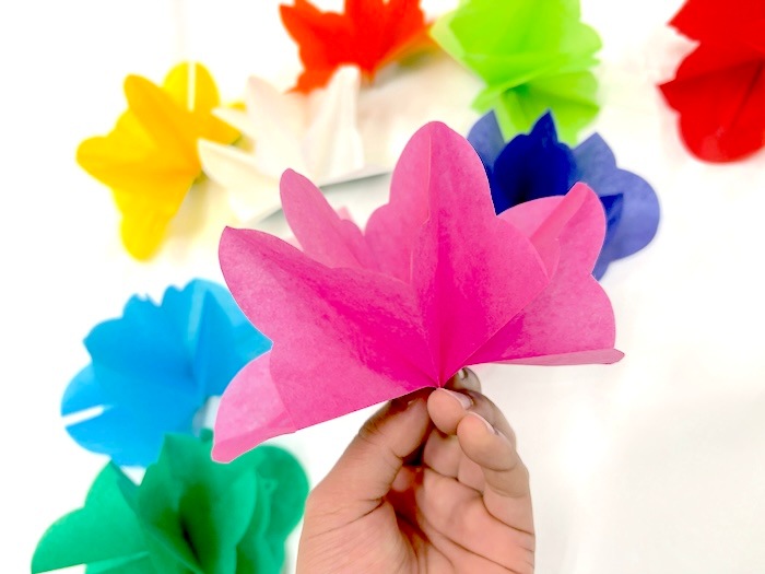 バネ花 (ワンカイフー製)