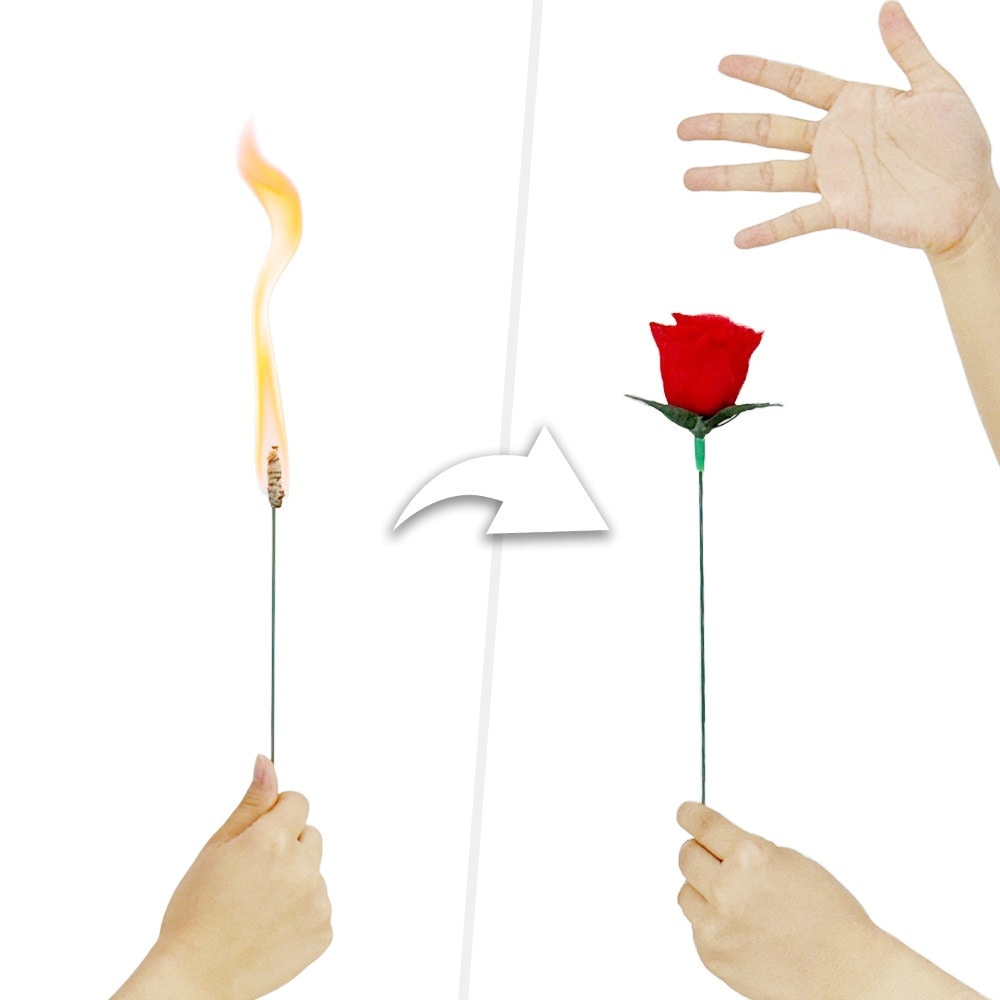 Torch to Rose ｜全商品一覧や手品グッズ揃うマジックショップ｜セオ