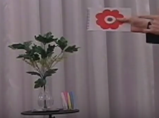 GMファンタジー (パーフェクトセット) ※