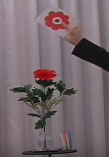 GMファンタジー (パーフェクトセット) ※