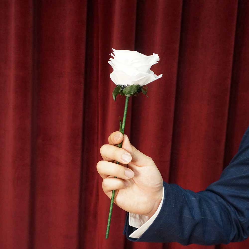 Color change rose ※ ｜全商品一覧や手品グッズ揃うマジックショップ